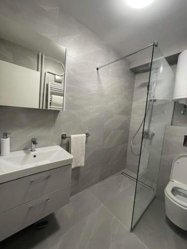 a bathroom with a shower and a sink and a toilet at Promenada Apartment in Novi Sad