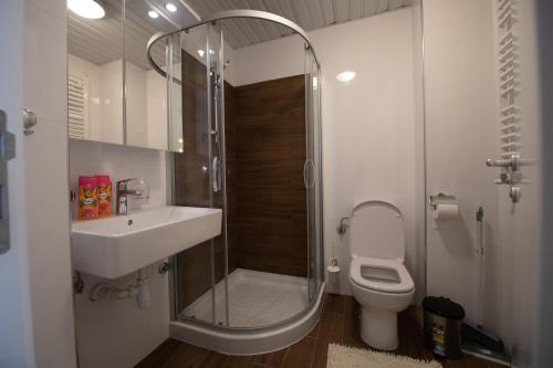 Koupelna v ubytování Petković apartmani 31 STUDIO