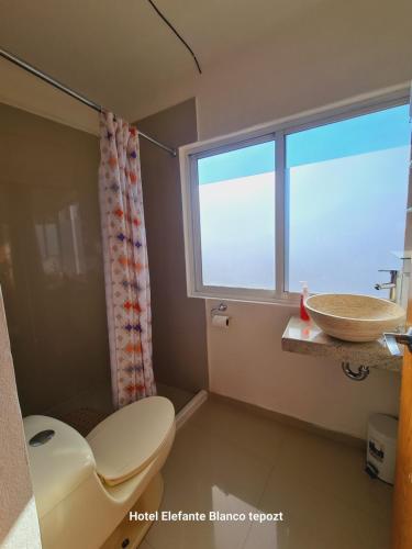 a bathroom with a toilet and a sink and a window at HOSTAL DEL ELEFANTE in Tepoztlán