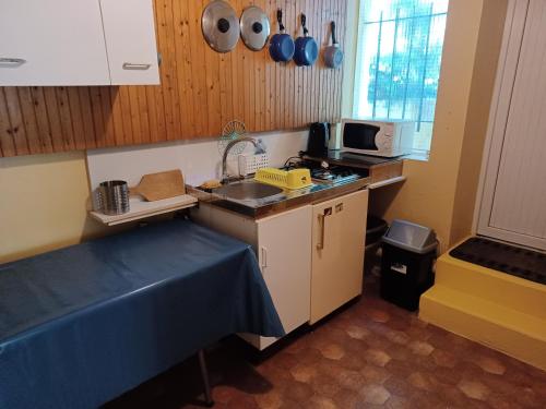 a small kitchen with a sink and a microwave at Calme et verdure in Buxerolles