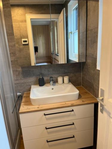 ein Bad mit einem Waschbecken und einem Spiegel in der Unterkunft Tiny Haus Dornbirn in Dornbirn