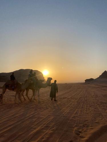 a group of people riding camels in the desert at Wadi Rum Sand Camp in Disah