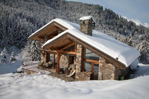 Chalet le Cairn - unique ski-in ski-out location!