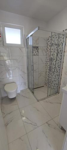 a bathroom with a shower and a toilet at Apartments Amesia with pool, Novalja in Novalja