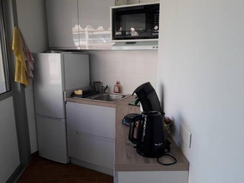 eine kleine Küche mit einer Spüle und einem schwarzen Gerät in der Unterkunft Appartement paisible, résidence avec piscine in Mandelieu-la-Napoule