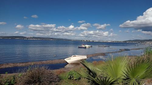 Paulette la Galinette et Laurent le Goéland