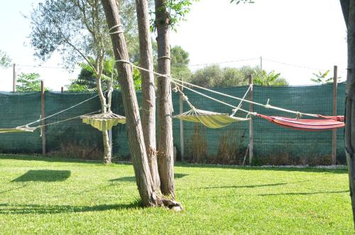 two hammocks are tied to trees in a yard at GIARDINO del MARE in Petrosino