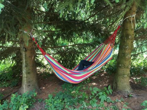a hammock hanging between two trees in a forest at Domek Myśliwski Las Vegas in Mierzyn
