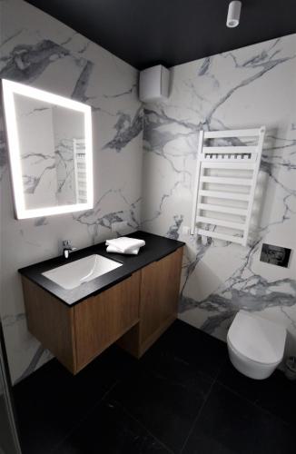 a bathroom with a sink and a toilet at Lake View Mielno in Mielno