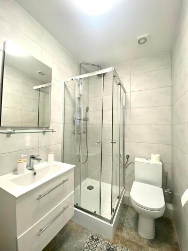 a bathroom with a shower and a toilet and a sink at Dom Gościnny Latarenka in Niechorze