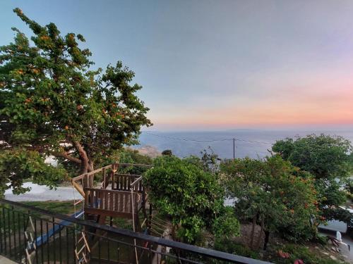 a bench sitting on top of a hill with a tree at Vlami's House Andros in Apróvaton