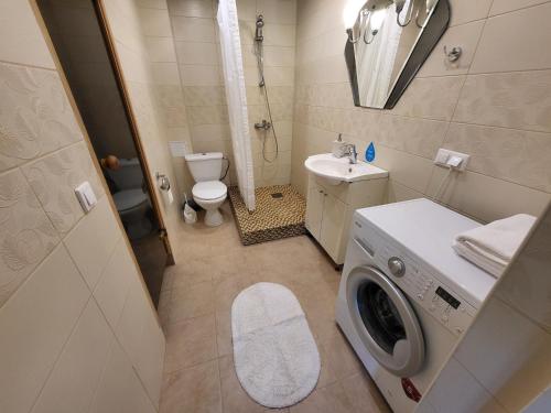 Koupelna v ubytování Viva Apartment