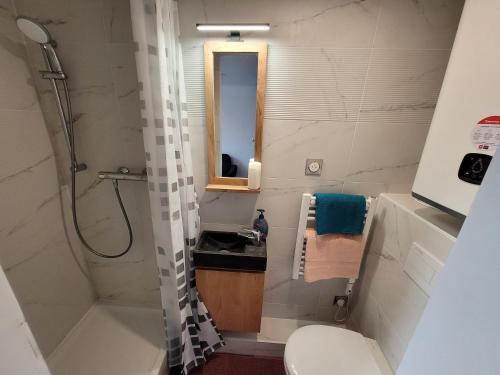 a bathroom with a shower and a sink and a toilet at 3D- Studio tout équipé avec cuisine 10 mins de Paris in Issy-les-Moulineaux