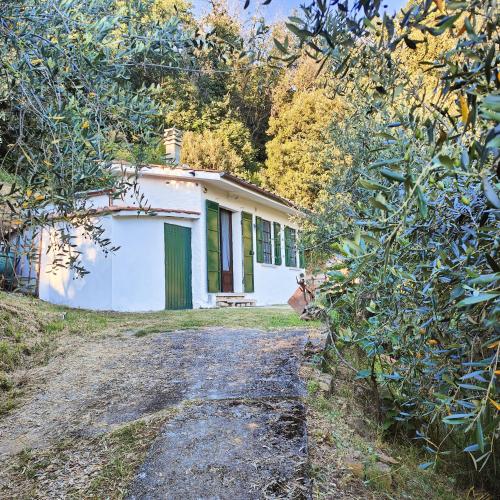 a small white house with a dirt road at Massaciuccoli Romana in Massaciuccoli