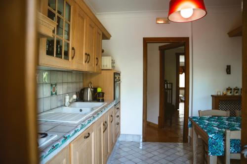 a kitchen with wooden cabinets and a counter top at Villa Attoni Di Canossa in Anzio