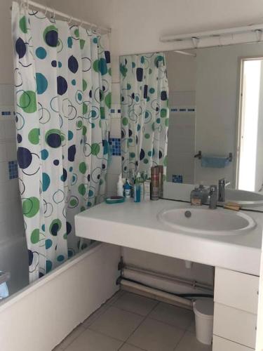 une salle de bain avec un lavabo et un rideau de douche dans l'établissement Montpellier: appart cozy et spacieux au centre, à Montpellier