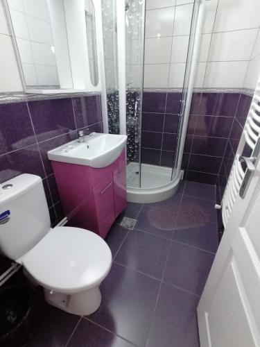 a bathroom with a toilet and a sink and a shower at lclc in Dubova