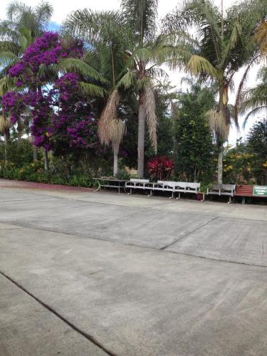 a park with benches and palm trees and purple flowers at Palms Oasis Motel in Coopernook