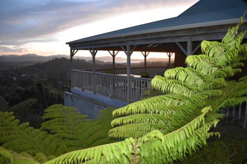 a bunch of green plants on the side of a building at Atea Lodge in Coromandel Town