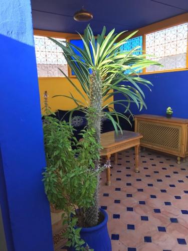 Authentic Moroccan Charm Apartment in Marrakech TERRACE