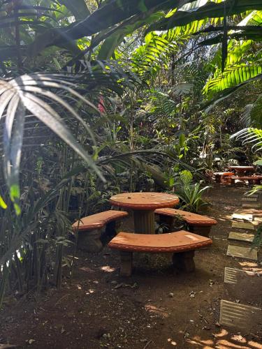 three wooden benches in a garden with plants at Eco Villas Tambor Tucanes in Tambor