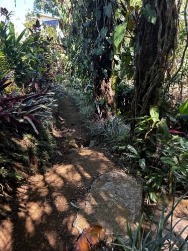 a dirt trail in a garden with plants at Eco Villas Tambor Tucanes in Tambor