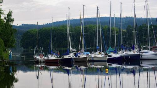 a bunch of boats are docked in the water at Klostermann Wellness&Spa in Frymburk