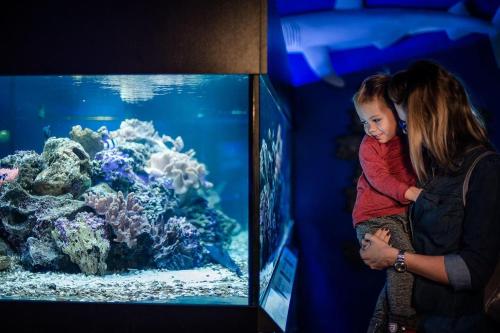 a woman holding a child looking at an aquarium at Klostermann Wellness&Spa in Frymburk
