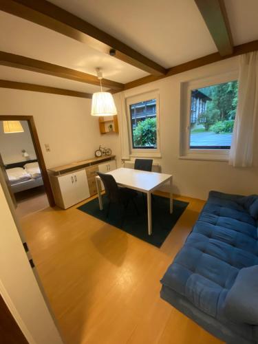 a living room with a table and a couch at NOCK - Zentrum Studio in Bad Kleinkirchheim