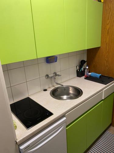 a kitchen with green cabinets and a sink at NOCK - Zentrum Studio in Bad Kleinkirchheim