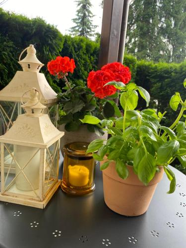 a table with flowers and a lantern and a plant at Uphill Residence in Sinaia
