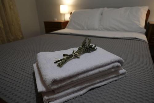 Δ2 - Τα διαμερίσματα του δασκάλου στα Φιλιατρά