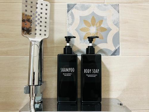 two bottles of shampoo and a blow dryer on a counter at Sonila's Home 1 in Bergamo