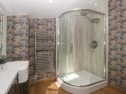 a shower in a bathroom with a sink and a toilet at Pen-Croeslan Bach in Crickhowell