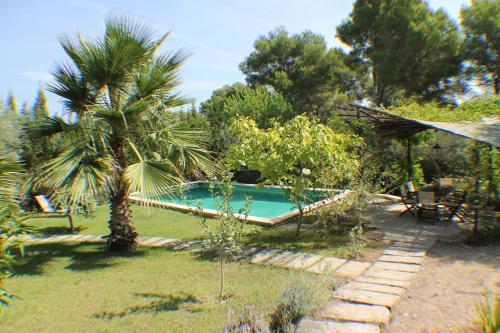 a swimming pool in a garden with a palm tree at Can Bellet, suspiros ibicencos in Canyamel