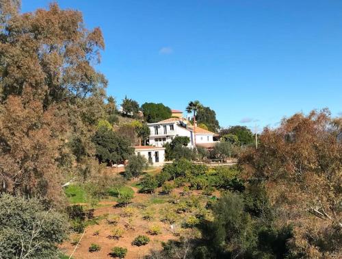 Penthouse Apartment, Cortijo Fruitful HIlls