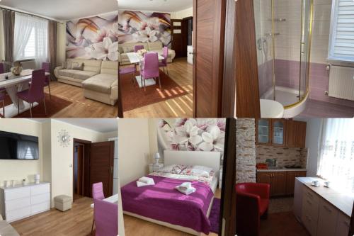 Apartament u Wioli