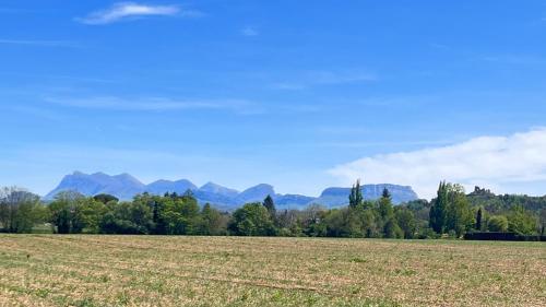 a field of grass with mountains in the background at Maison privée style provençal in Grane