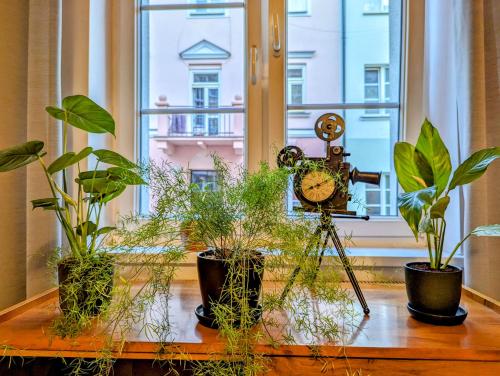 uma mesa com plantas e um relógio e uma janela em Apartament Vintage em Plock