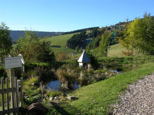 a small pond in a field next to a fence at Panorama Hotel Oberwiesenthal in Kurort Oberwiesenthal