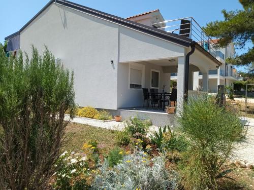 APARTMAN BILI GALEB