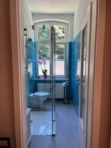 a bathroom with a shower and a sink and a toilet at Forsthaus Neudorf - Gartenblick in Harzgerode