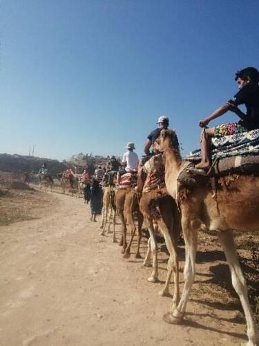 a group of people riding on camels down a dirt road at Agadir aourir maroc in Aourir