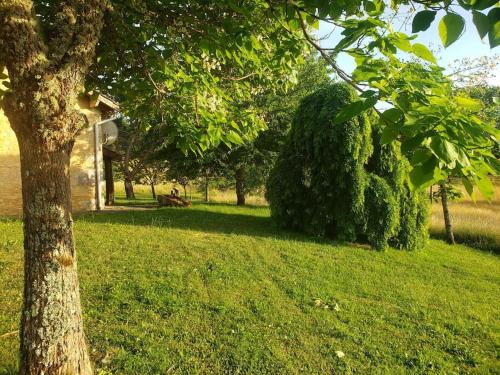 Photo de la galerie de l'établissement Maison, à Sauveterre-la-Lémance