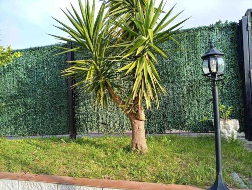 a street light next to a palm tree next to a wall at Casa Rural en CADAVEDO LUARCA ASTURIAS in Villademoros