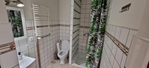 a bathroom with a toilet and a sink at Agroturystyka Zielony Zakątek w Wiewiecku in Wiewiecko