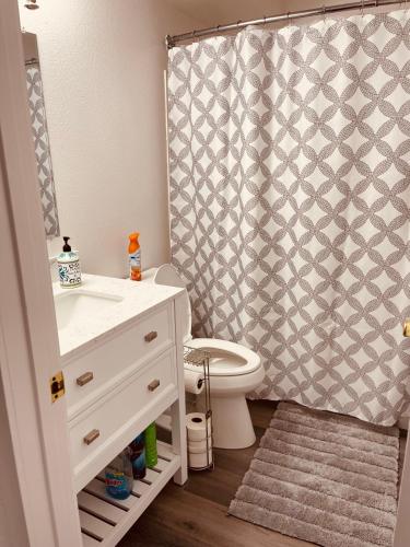 費爾班克斯的住宿－North Star Place 11，一间带卫生间和淋浴帘的浴室