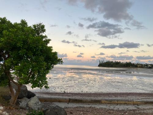 a view of the beach at sunset at chez Gérald in Noumea