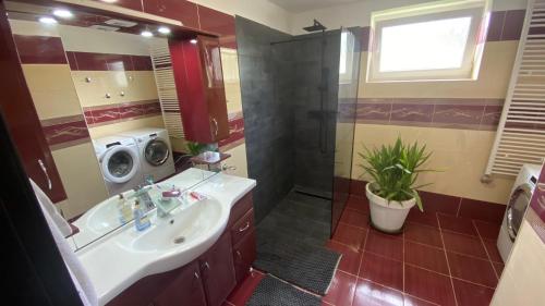 a bathroom with a sink and a washing machine at SunsetT+T residence in Hernádzsurdok