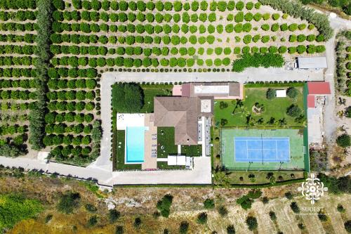Gallery image of Sicily Summer Breeze - Deluxe Villa with Pool in Ispica